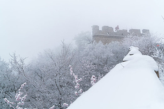 长城冰雪桃花