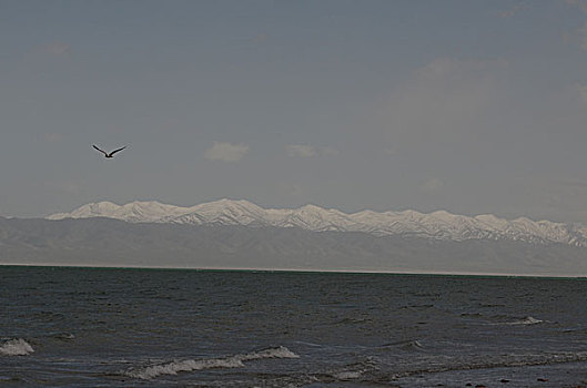 青海湖浪打浪