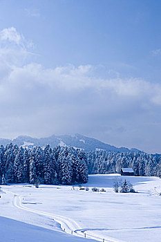冬景,布雷根茨森林,奥地利