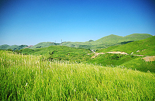 万亩大草原