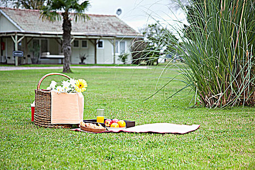 野餐篮,水果,草地