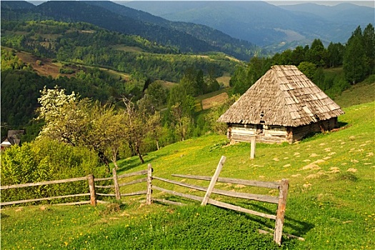 美景,小,农场,喀尔巴阡山脉地区