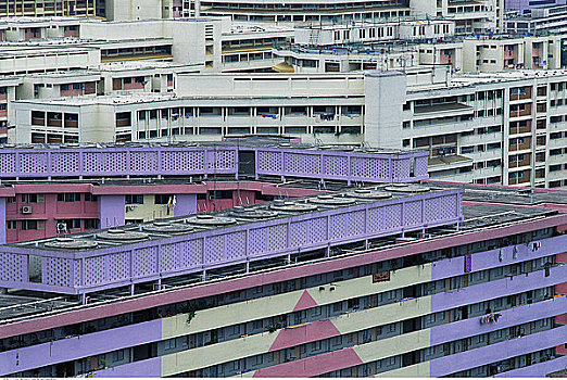 建筑,屋顶,新加坡