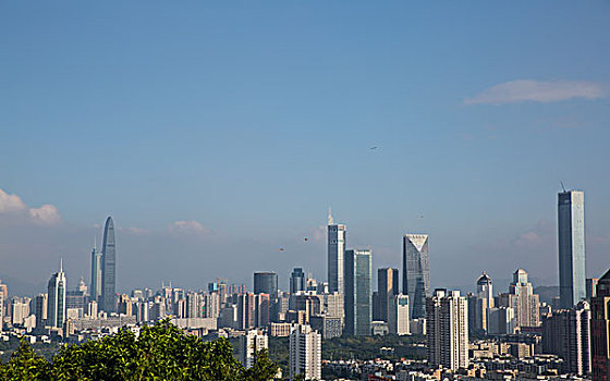 深圳市城市全景