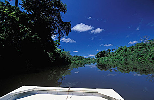 船,里奥内格罗,支流,亚马逊河