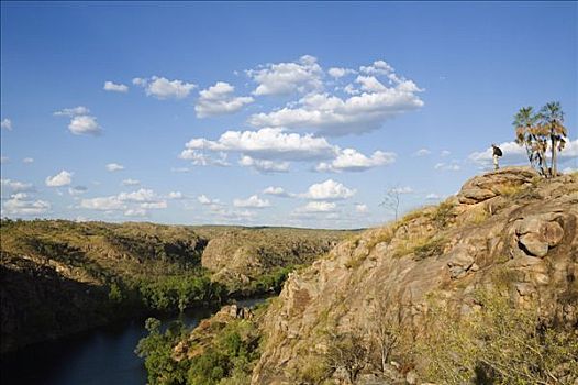 澳大利亚,北领地州,远足者,看,上方,凯瑟琳峡谷