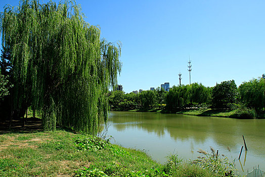 天津长虹公园