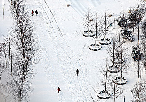 大雪,洁白,干净,寒冷,白色,俯拍,扫雪,便道,雪景,行走