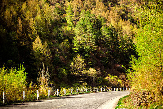 山间公路汽车背景