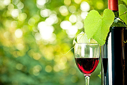红酒瓶,一个,玻璃杯,藤,自然,春天,背景