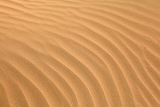 波纹,沙子,荒芜