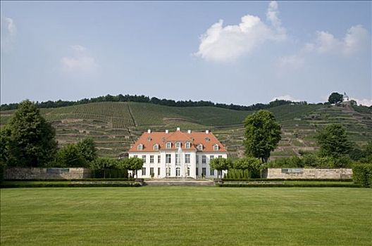 城堡,葡萄酒厂,葡萄园,靠近,德累斯顿,萨克森,德国