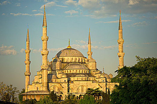 苏丹,清真寺,伊斯坦布尔,土耳其