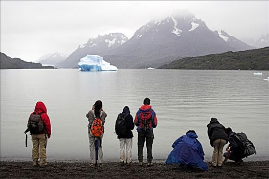 灰色,湖,靠近,格里冰河,托雷德裴恩国家公园,巴塔哥尼亚,智利