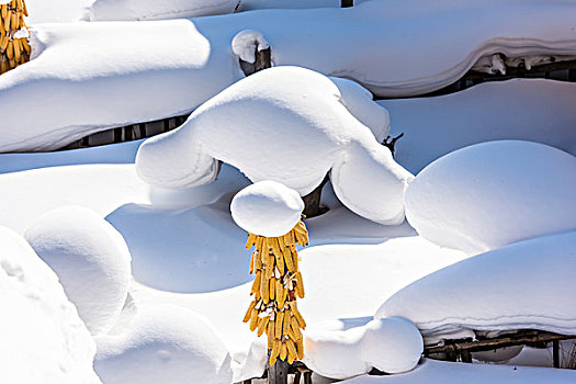 黑龙江雪乡风景