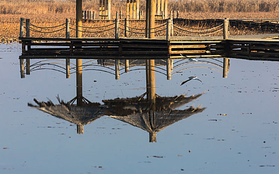 沙湖农场,沙湖景区