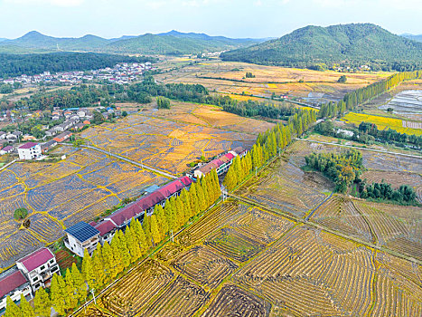 江西金溪,生态乡村,风景如画