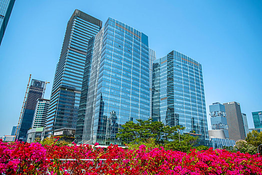 深圳城市道路和建筑景观天际线