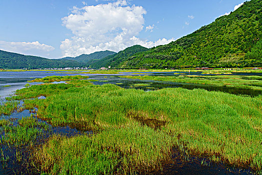 腾冲北海湿地保护区