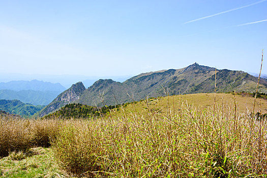 秦岭高山草甸