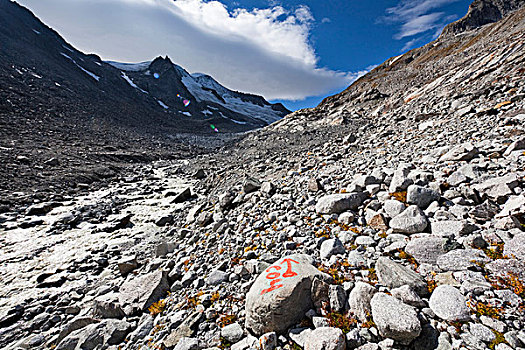 冰河,国家公园,展示,标识,迅速,闲适,山,背景,位置,2004年,奥地利,东方,提洛尔
