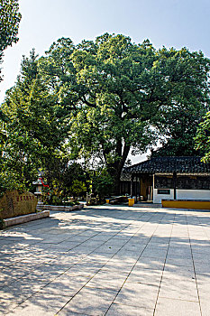 苏州光福古镇铜观音寺风光