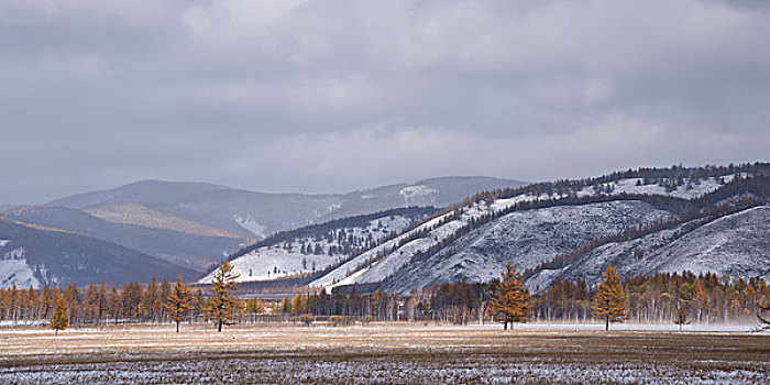 阿尔山雪景