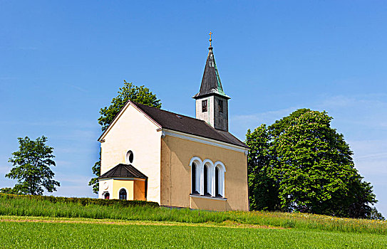 奥地利,上奥地利州,朝圣教堂,玛丽亚