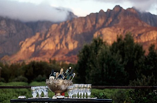 饮料,玻璃杯,日落,葡萄园,南非