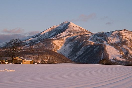 山,早,冬天