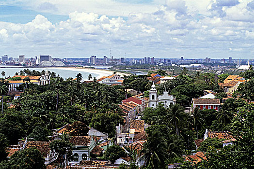 巴西,靠近,累西腓,俯视,城镇