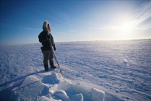 阿拉斯加,爱斯基摩,北冰洋,靠近,手推车,毛皮,派克式大衣,冬天,冰