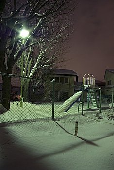 公园,冬天,夜晚