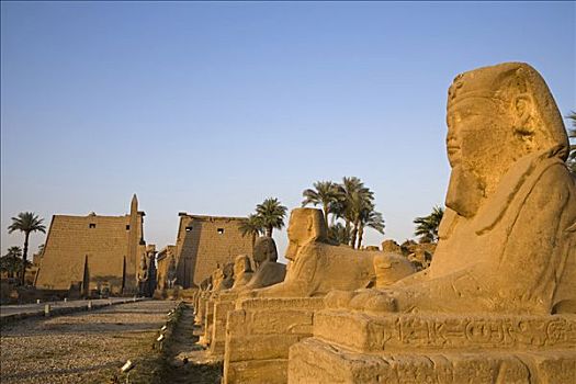 道路,狮身人面像,向上,卢克索神庙,埃及