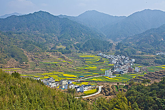 婺源,春天,油菜花,徽派,建筑,篁岭,晒秋,风情,风景,风光,乡村,民居