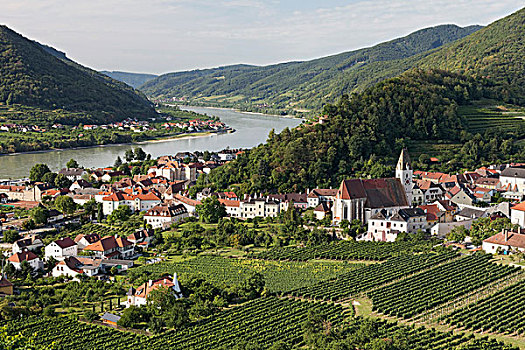 风景,上方,葡萄园,多瑙河,瓦绍,下奥地利州,奥地利,欧洲