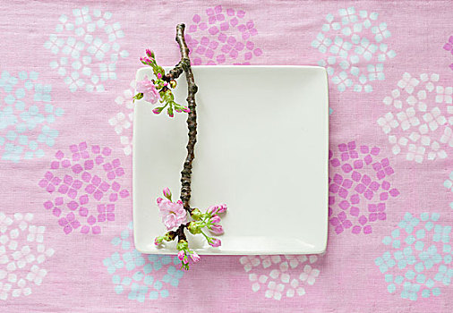 枝条,樱花,瓷盘