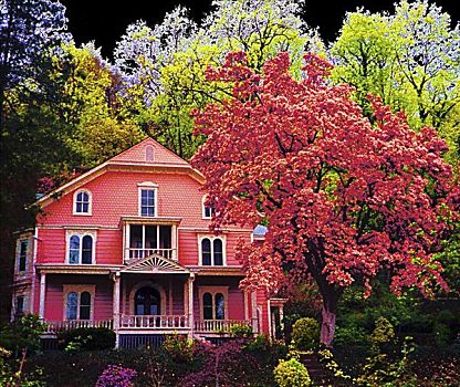 粉色,房子,荒野