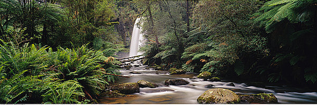 瀑布,奥特韦国家公园,维多利亚,澳大利亚