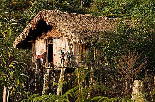 缅甸,传统,竹子,小屋