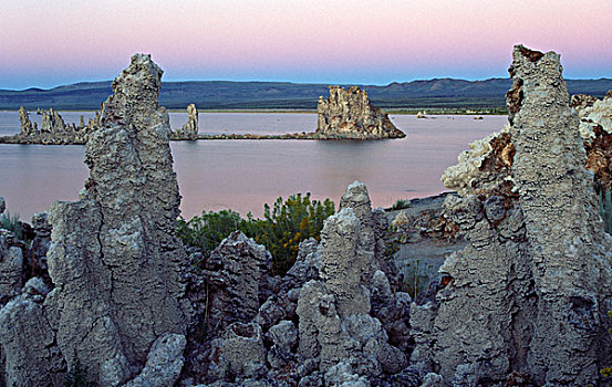 石灰华,岩石构造,湖岸,莫诺湖,莫诺湖石灰华州立保护区,加利福尼亚,美国