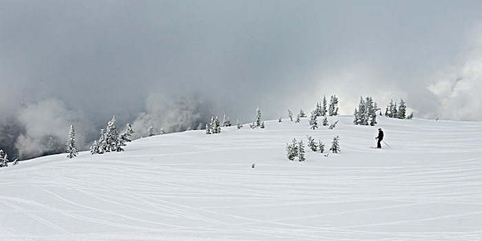 滑雪,雪,山,惠斯勒,不列颠哥伦比亚省,加拿大