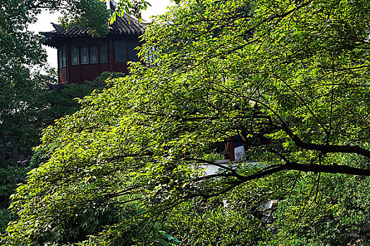 拍摄于亚洲,中国,江苏省,苏州市,拙政园,2005年7月