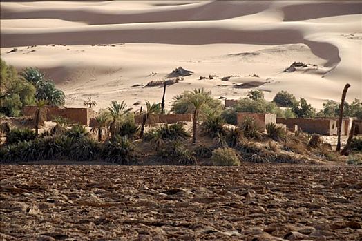 干燥,湖,住宅区,绿洲,利比亚
