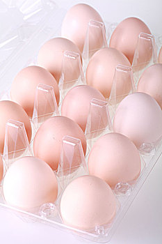 鸡蛋放在透明塑料盒中
