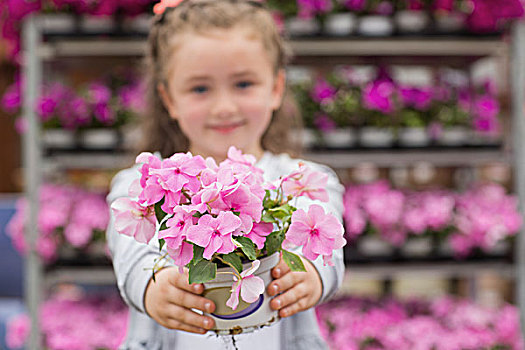 小女孩,拿着,粉花,室外,花卉商店