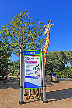 圣迭戈动物园