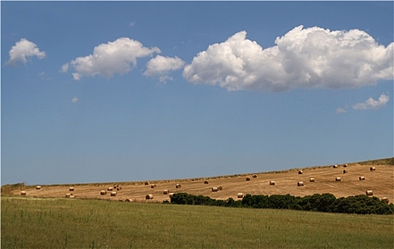 风景