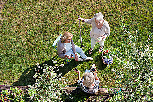 三个女人,交谈,一起,花园,俯视
