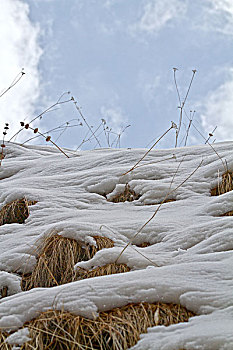 雪山